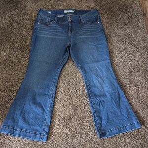 Torrid Women's Plus Flare Jeans Size 18 XS